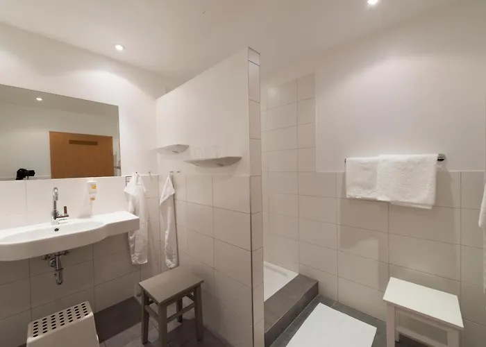 Zum Storch Hotel 3*