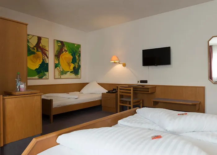 Hotel Zum Storch 3*