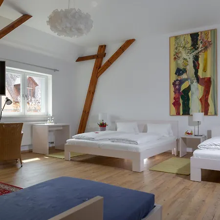 Zum Storch Hotel 3*