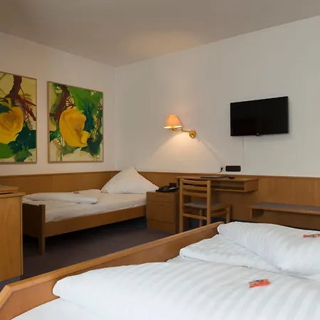 Hotel Zum Storch 3*